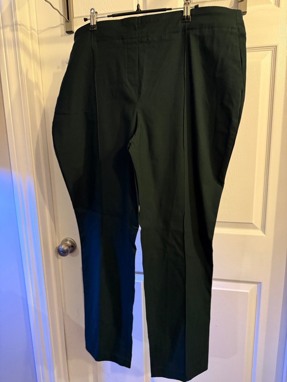 Hilary Radley Forest Green Pants